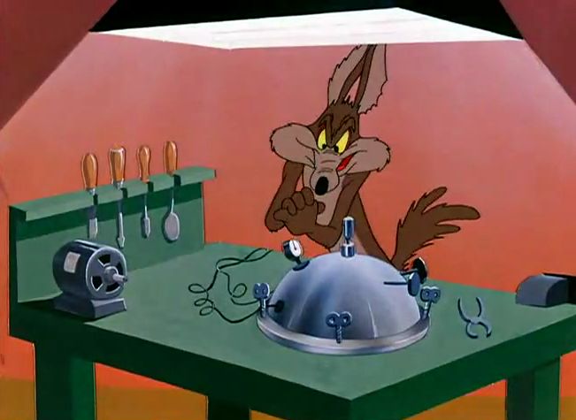 Vil Coyote prépare son coup