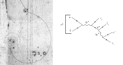 desintégration d'un pion en muon