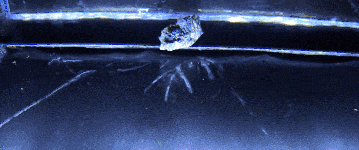 chambre à brouillard