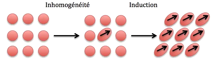 dipôles induits à partir d'un seul