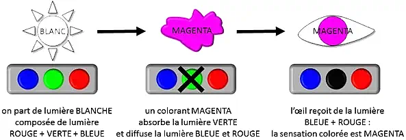pigment magneta