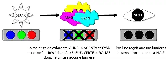pigment noir