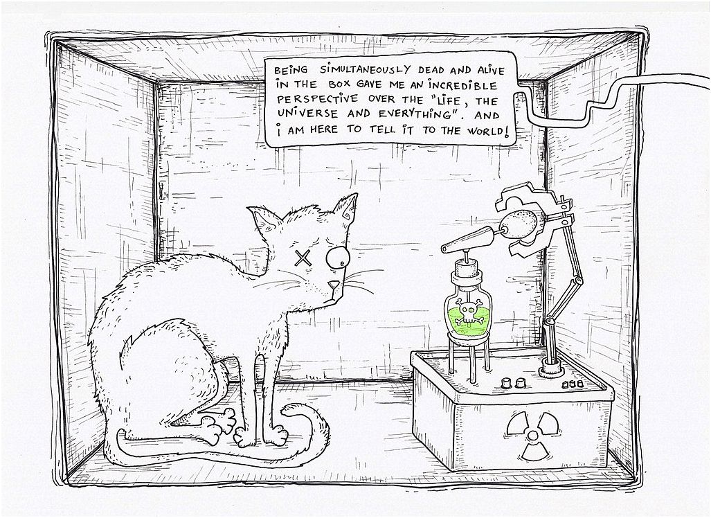 chat de Schrödinger