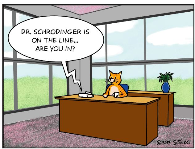 chat de Schrödinger