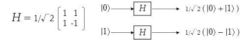 Hadamard