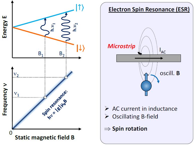 Electron Spin Resonance