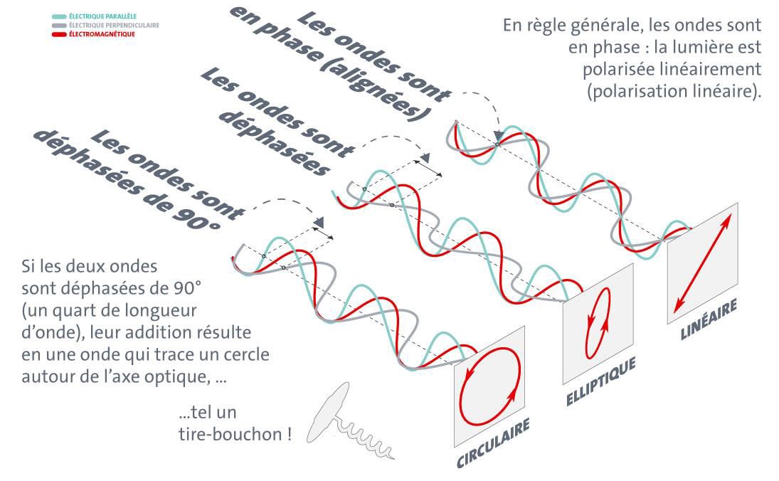 Polarisation de la lumière