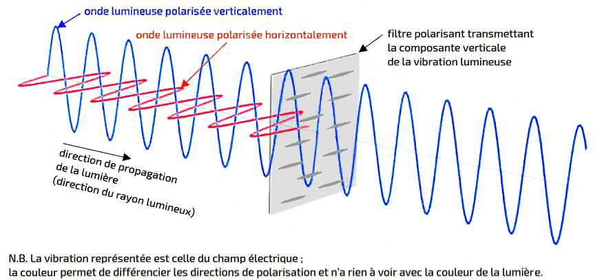 Polarisation de la lumière: filtre